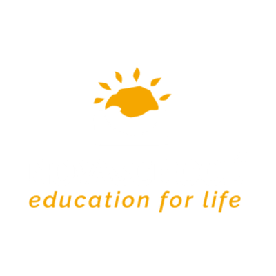 Logo Torneo Novaschool
